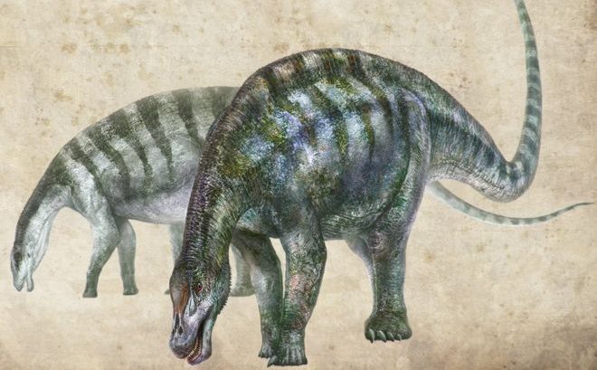 Dinosaur sauropods InquiBox