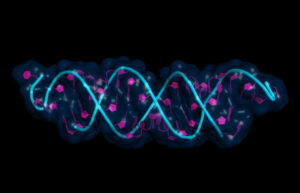 small interfering RNA bound