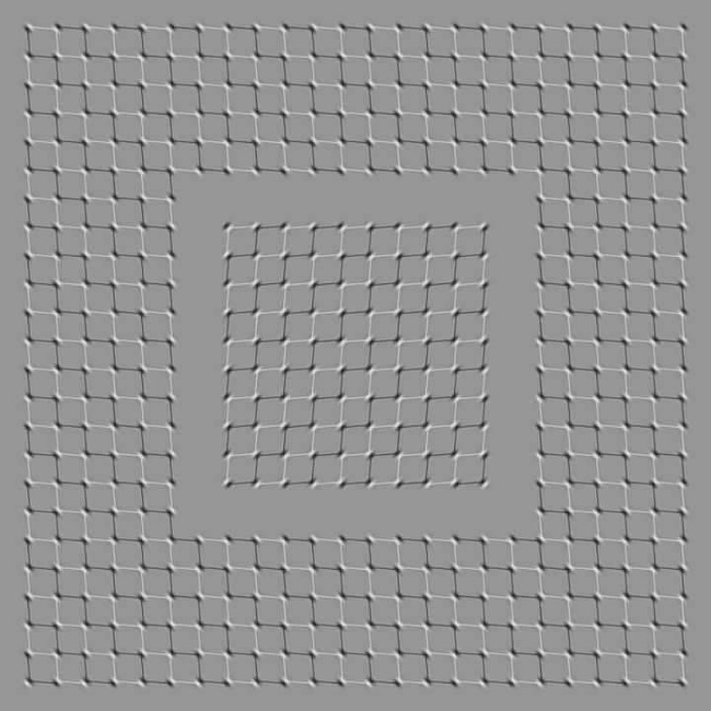 moving optical illusions brain teasers