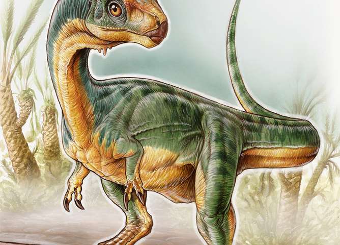 dinosaur facts