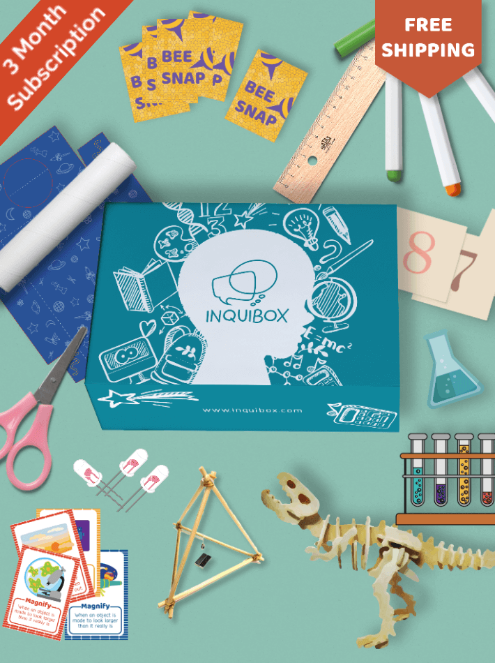 Picture of InquiBox and representative contents