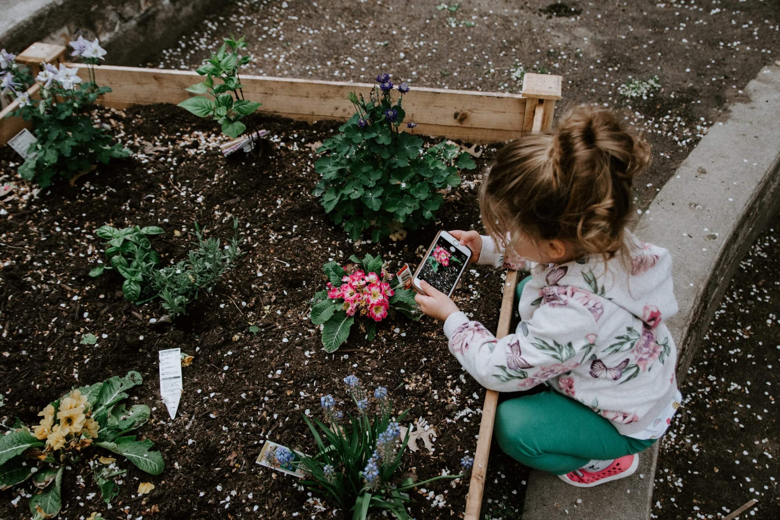 Little girl trying hr hand at garden photography